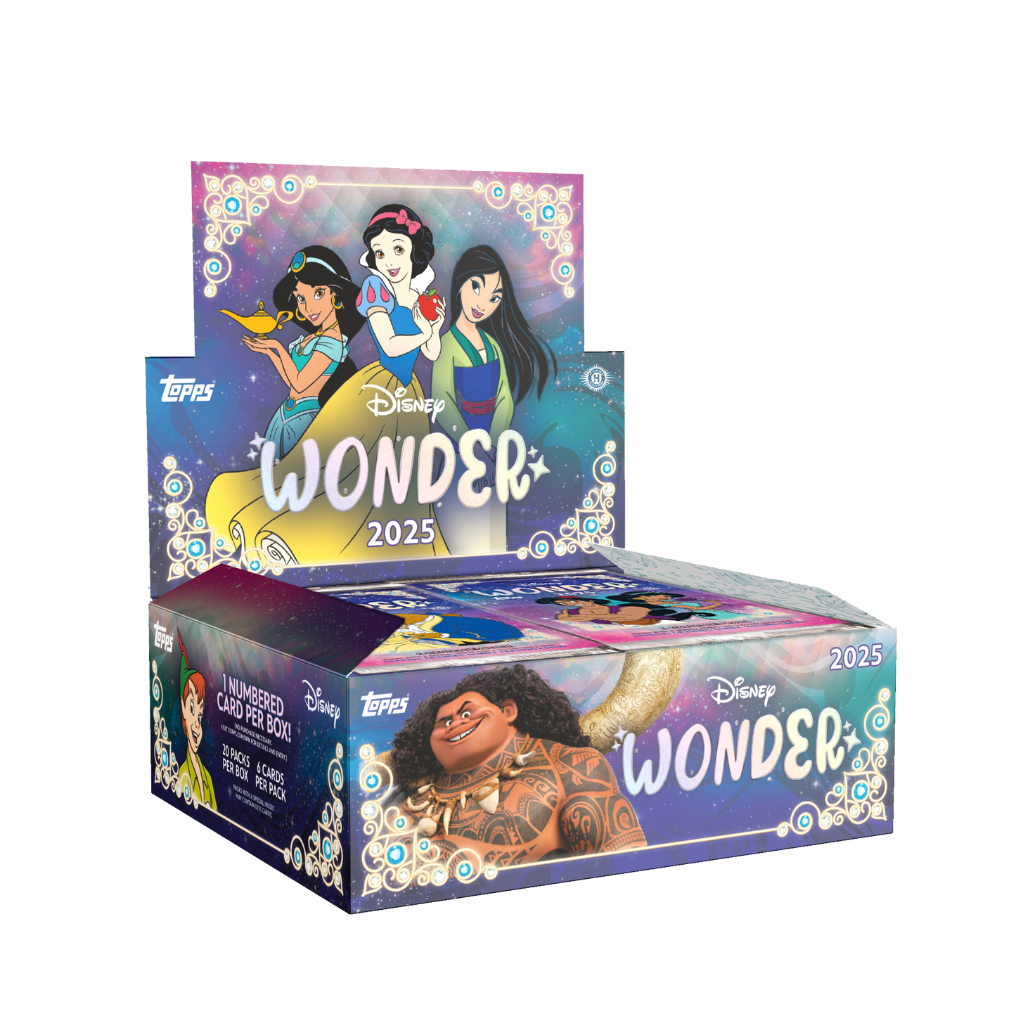 2025 Disney Wonder Hobby Box